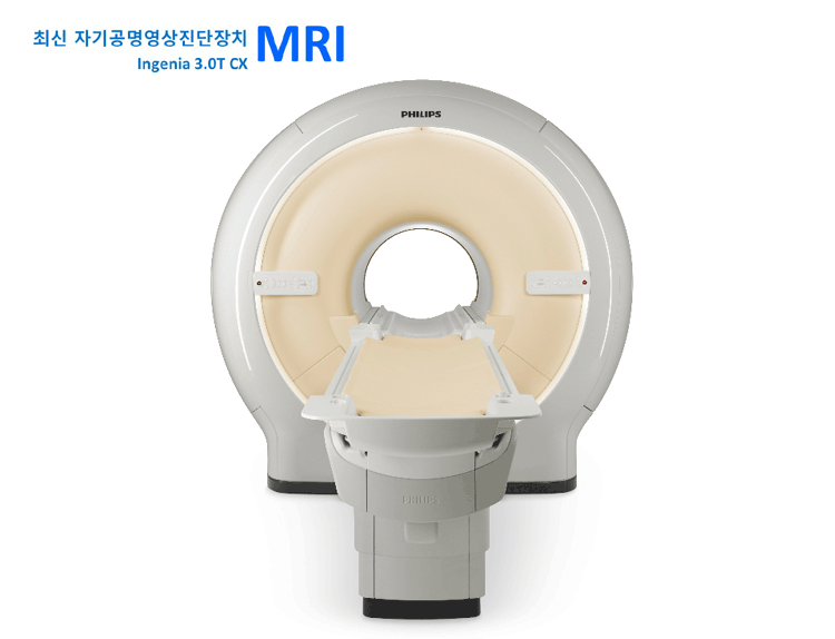 mir1.gif