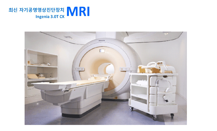mri2.gif