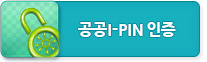 공공I-PIN 인증